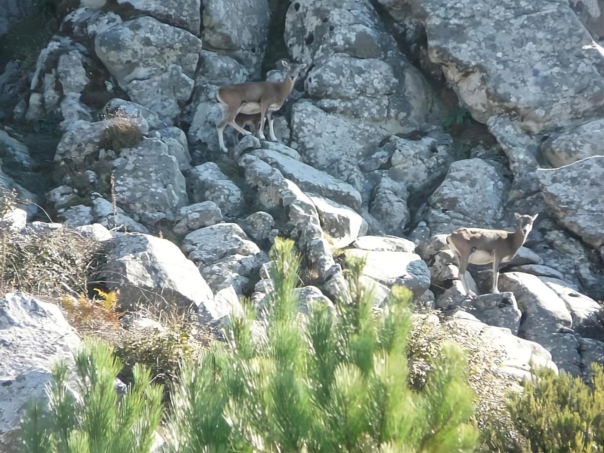 Manderley-Case Sul Mare Santa Caterina Di Pittinuri  Exteriér fotografie